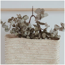 Load image into Gallery viewer, MIKANU HANGING BASKET